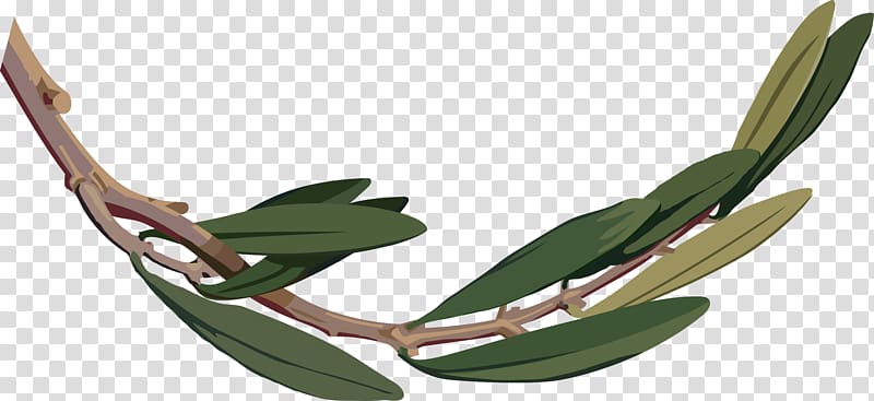 Olive branch , olive transparent background PNG clipart