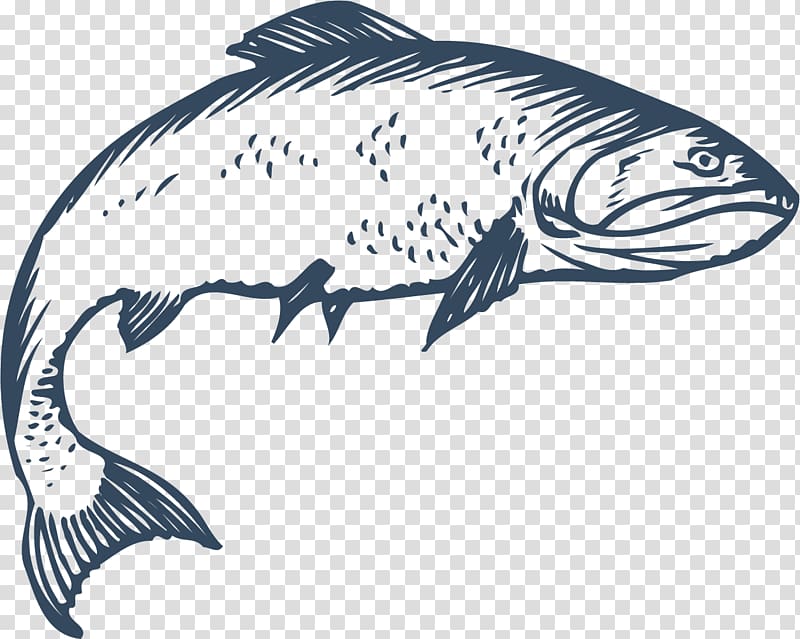 Freshwater fish Euclidean , Crooked fish transparent background PNG clipart