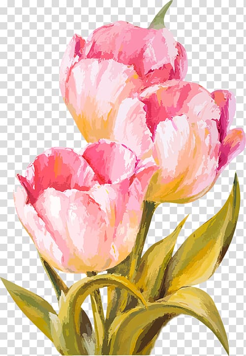 Wedding invitation Tulip Flower, tulip watercolor transparent background PNG clipart