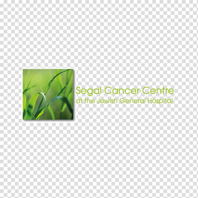 Jewish General Hospital Cancer prevention Oncology, Mohan Segal transparent background PNG clipart