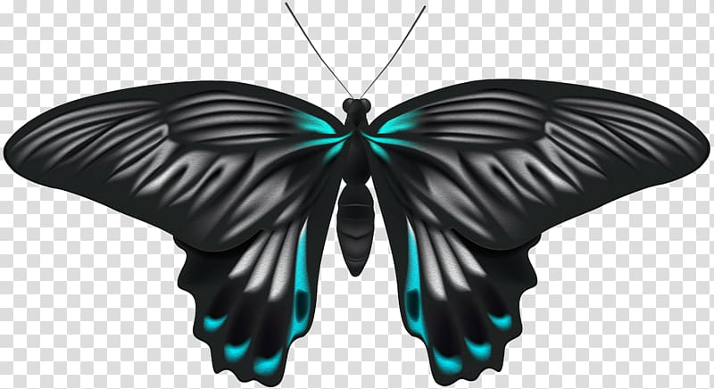file formats Lossless compression, Black Blue Butterfly transparent background PNG clipart