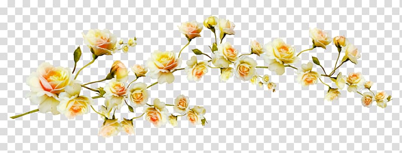 yellow and white flower , Flower , Yellow flowers branch transparent background PNG clipart