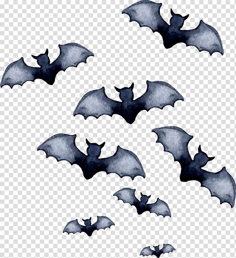 bat art, Bat T-shirt Halloween, Halloween bat transparent background PNG clipart