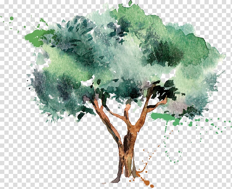 Green And Brown Tree Illustration Olive Oil Tree Olive Transparent Background Png Clipart Hiclipart