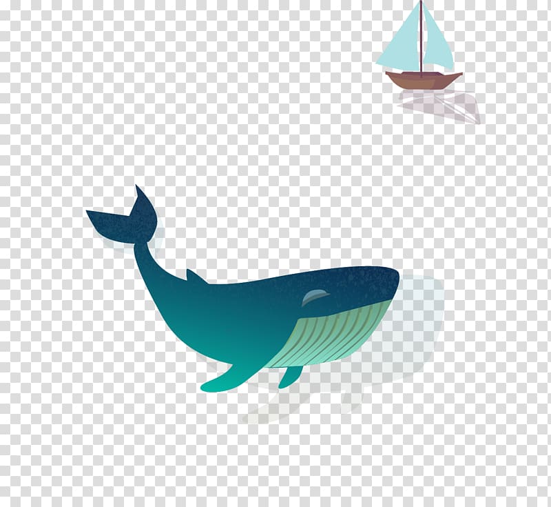Shark Whale Euclidean , whale transparent background PNG clipart
