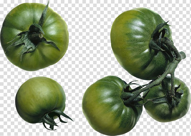 Green Zebra Salsa Cherry tomato Tomatillo, tomato transparent background PNG clipart