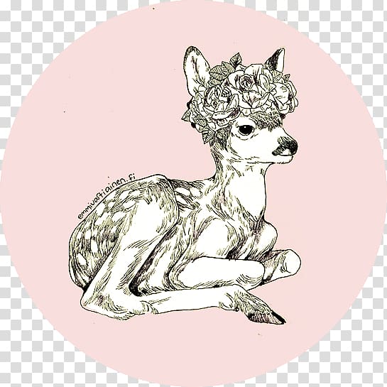 Red deer Roe deer Antler, cute deer transparent background PNG clipart
