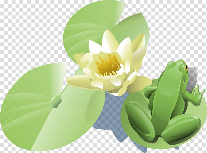 Frog Egyptian lotus , waterlily transparent background PNG clipart