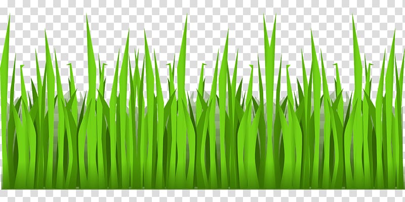 Lawn , grass football transparent background PNG clipart