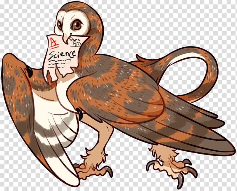Owl Bird of prey Mutation Genetics, owl transparent background PNG clipart