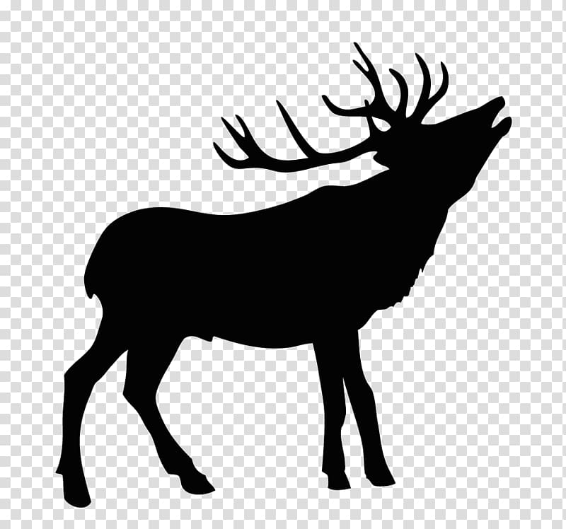 Elk Estate, Inverloch Holiday Accomodation Moose Deer, deer antler transparent background PNG clipart