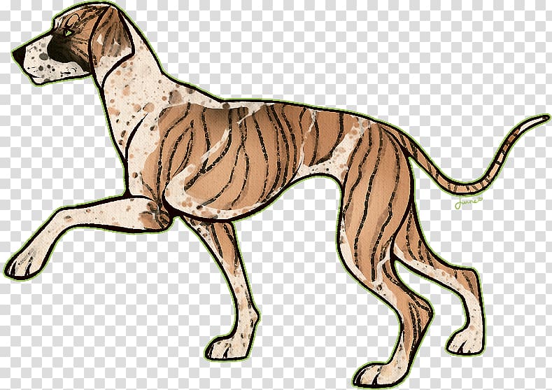 Spanish greyhound Italian Greyhound Sloughi Whippet, Dalmatian dog transparent background PNG clipart
