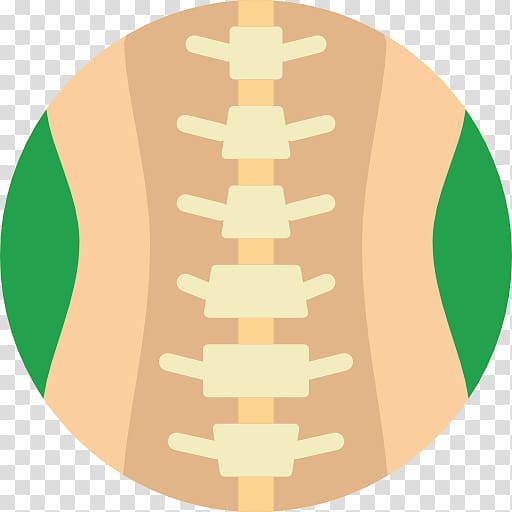 Vertebral column Lumbar vertebrae Spinal cord Human body, columna vertebral transparent background PNG clipart
