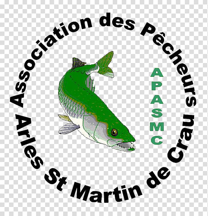 Saint-Rémy-de-Provence Port-Saint-Louis-du-Rhône Association des Pecheurs Arles, St Martin de Crau (Apasmc) Fishing Fisherman, Fishing transparent background PNG clipart