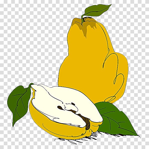 Pear illustration Vegetable Illustration, pear transparent background PNG clipart