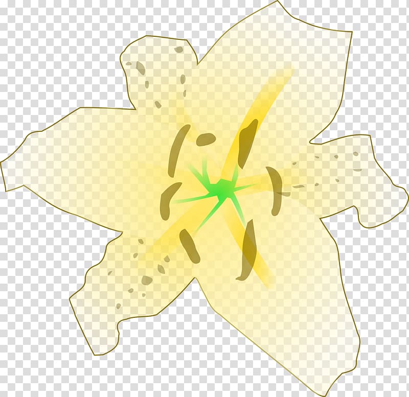 , lilies transparent background PNG clipart
