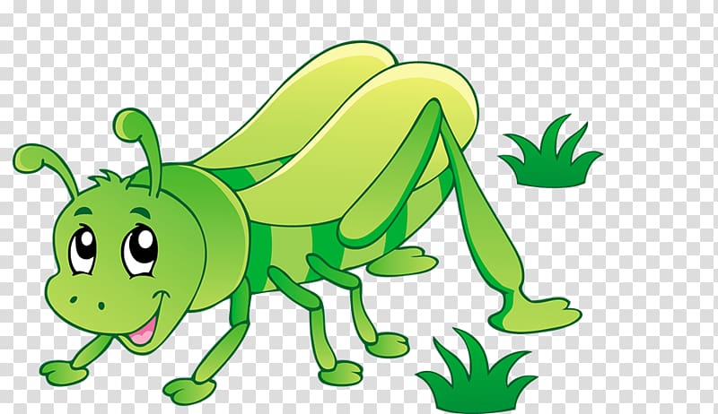 Insect , Grasshopper transparent background PNG clipart