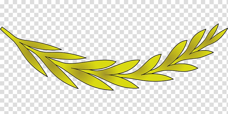 Olive leaf Olive leaf Olive branch , olive transparent background PNG clipart