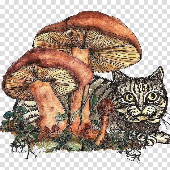Cat Kitten Felidae Printmaking Illustration, Retro Mushrooms transparent background PNG clipart