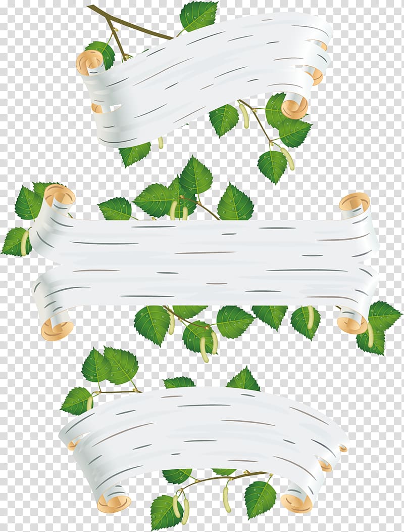 Paper birch Bark, Tiff transparent background PNG clipart