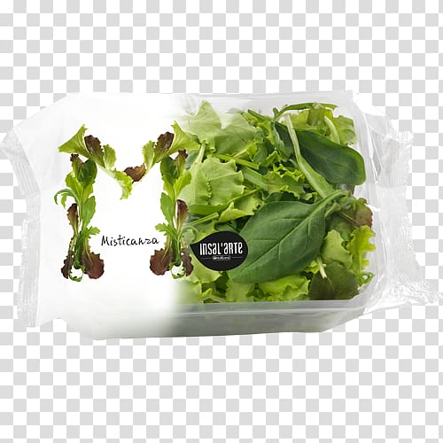Romaine lettuce Caesar salad Misticanza, salad transparent background PNG clipart
