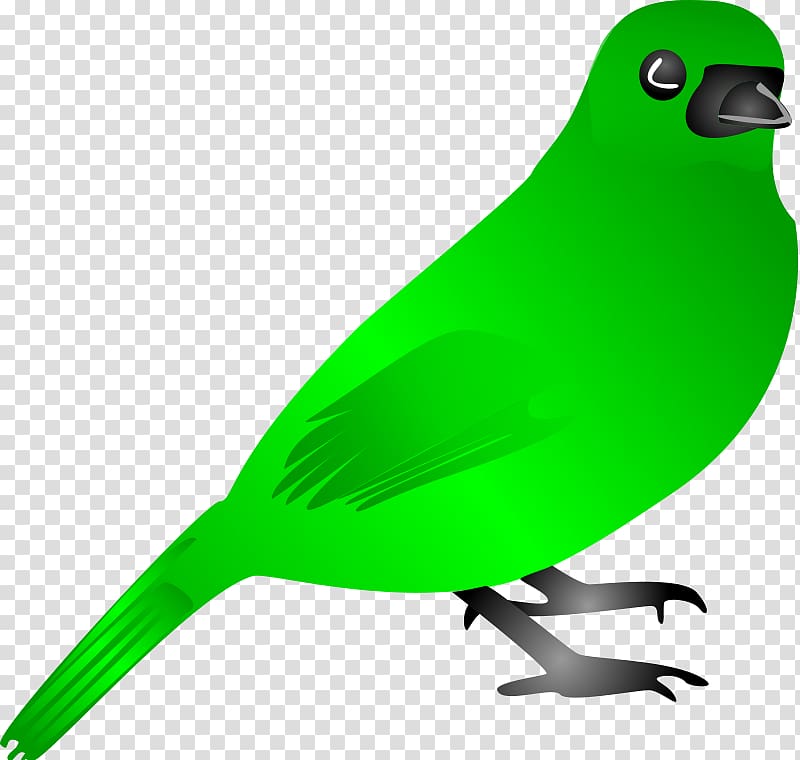 Bird flight Green , Chickadee transparent background PNG clipart