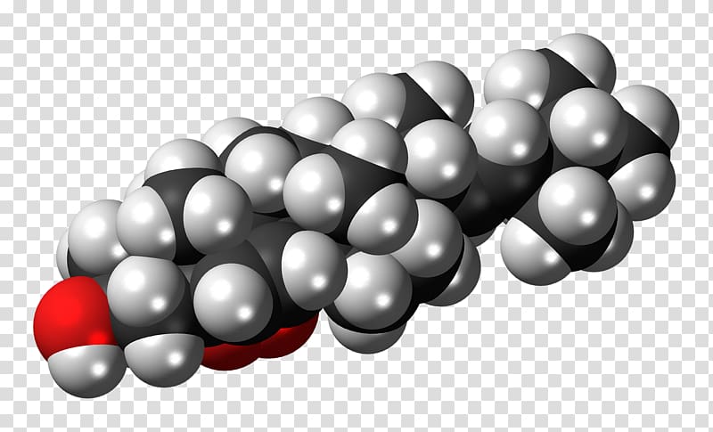Cholesterol Lipid Phenanthrene Methyl group, Ergosterol transparent background PNG clipart