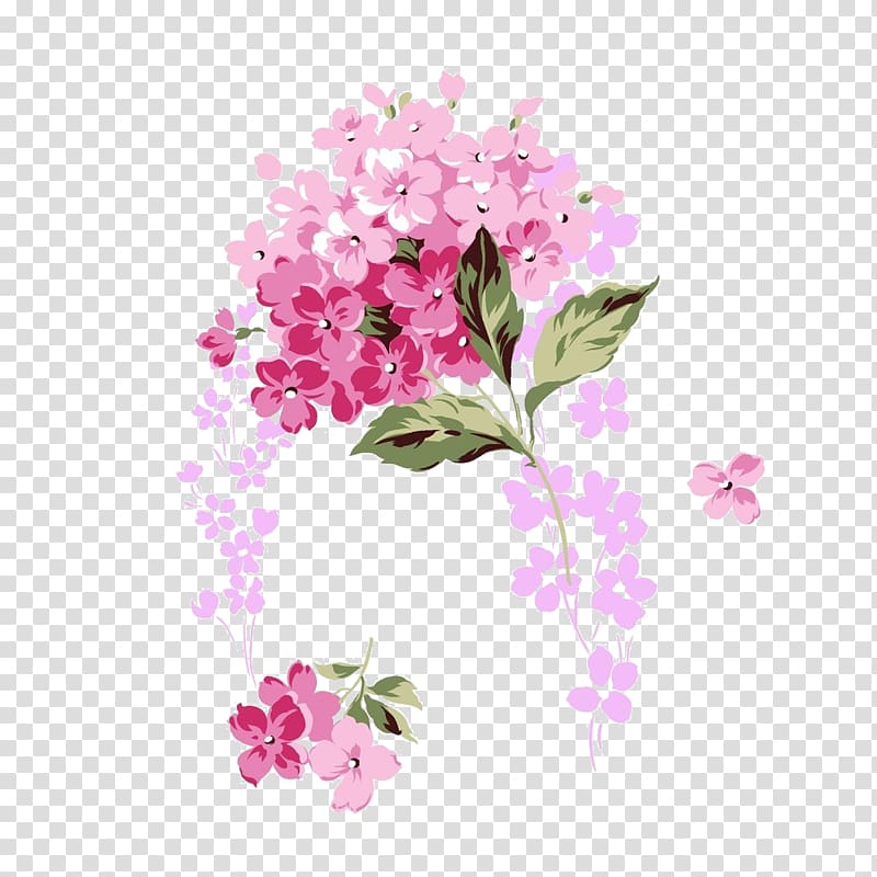 pink and white petaled flowers , French hydrangea Pink Flower , Pink Bouquet transparent background PNG clipart