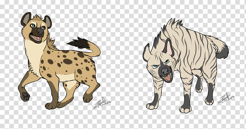Striped hyena Lion Spotted hyena Drawing, hyena transparent background PNG clipart