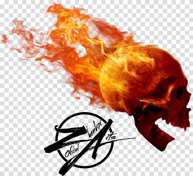 Skull Desktop Flame Fire, skull transparent background PNG clipart