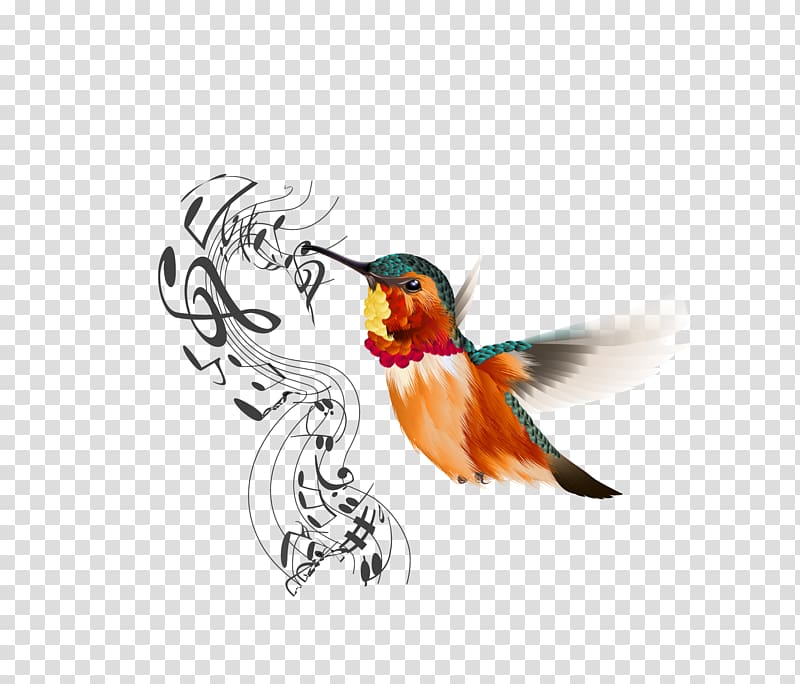 Bird Icon, bird transparent background PNG clipart
