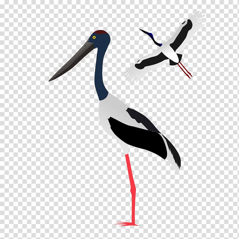 White stork , Blacknecked Stork transparent background PNG clipart