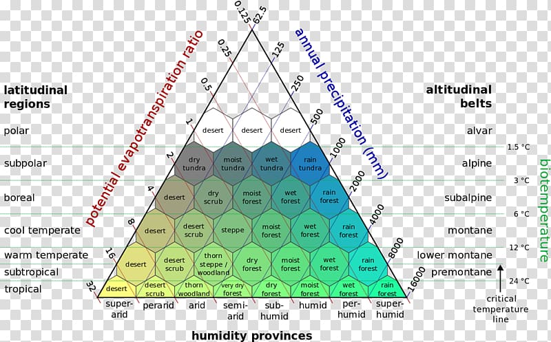 Holdridge life zones Climate classification Tropical rainforest, classification la transparent background PNG clipart
