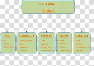 Product design Brand Font, design transparent background PNG clipart thumbnail