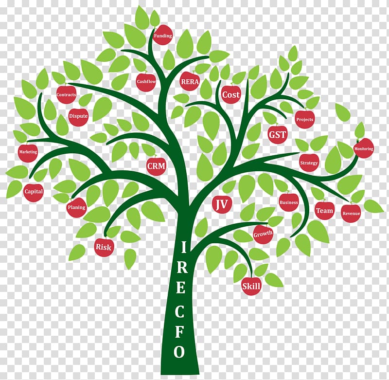 Genealogy Family tree Family history society, creative trees transparent background PNG clipart
