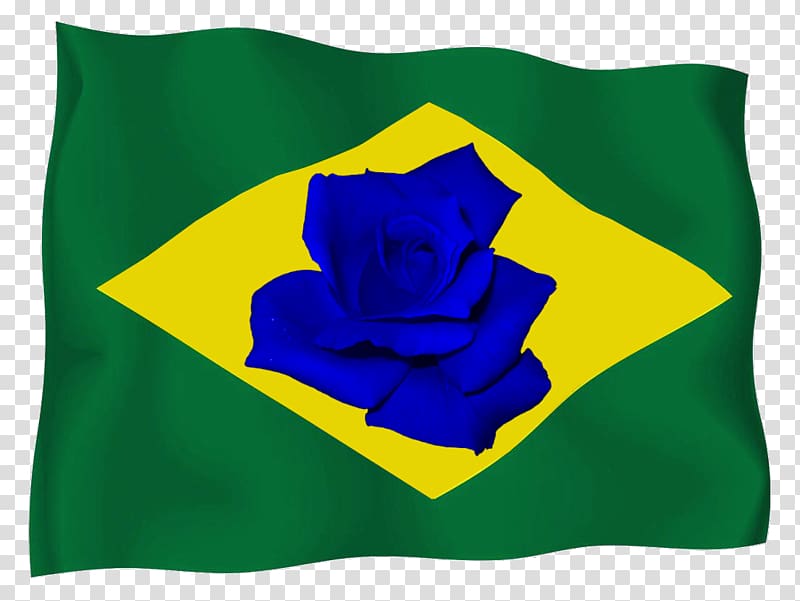 Flag of Brazil Bible, Flag transparent background PNG clipart