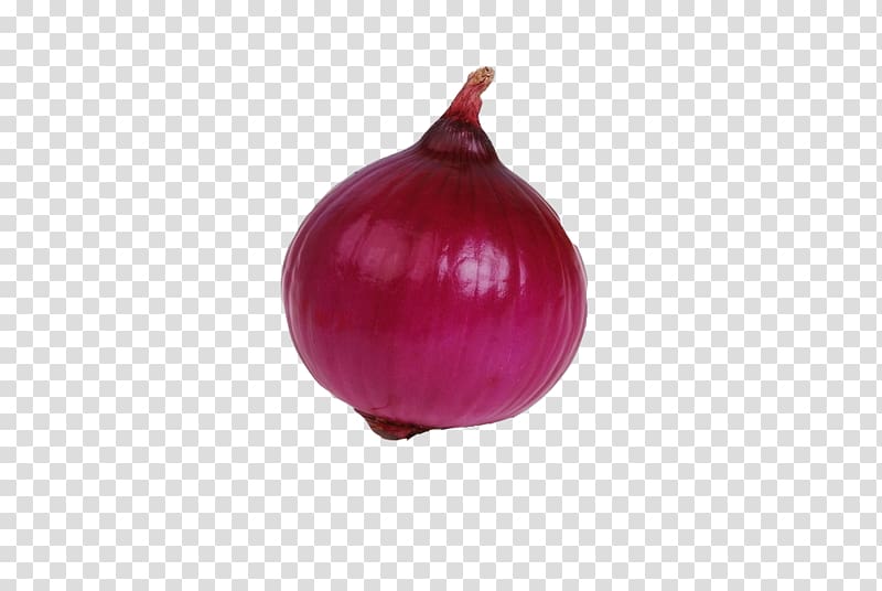 Red onion Free Onion Vegetable, Purple Onion transparent background PNG clipart