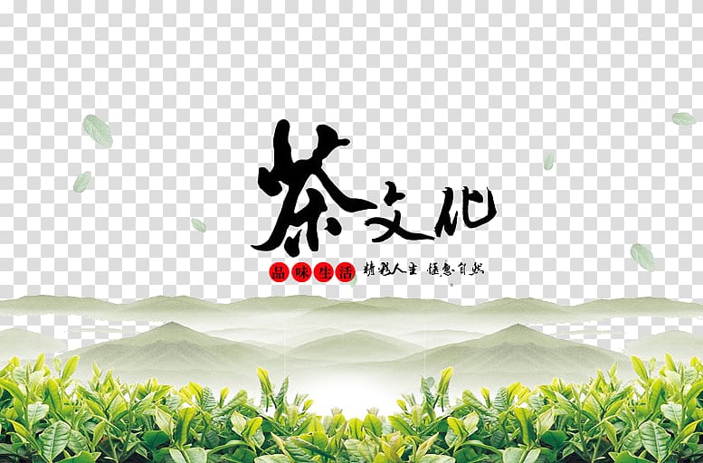 Green tea Yum cha Tea culture Japanese tea ceremony, tea culture transparent background PNG clipart