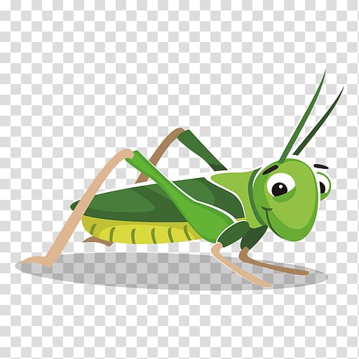 Grasshopper Cartoon , grasshopper transparent background PNG clipart
