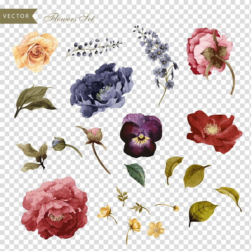 variety of flower illustration, Flower Euclidean Illustration, Leaves and flowers transparent background PNG clipart