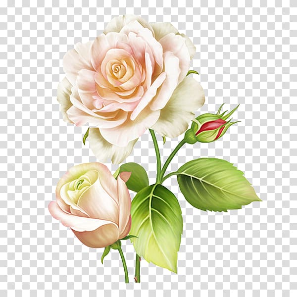 Abziehtattoo Flash Rose Flower, Flash transparent background PNG clipart