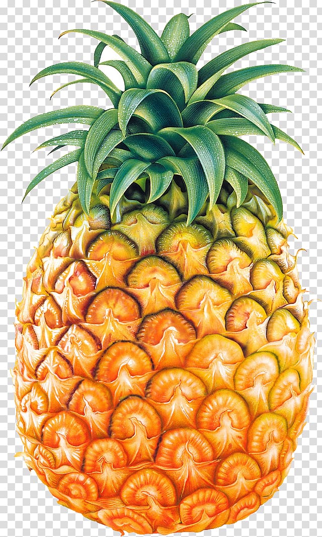 Pineapple transparent background PNG clipart