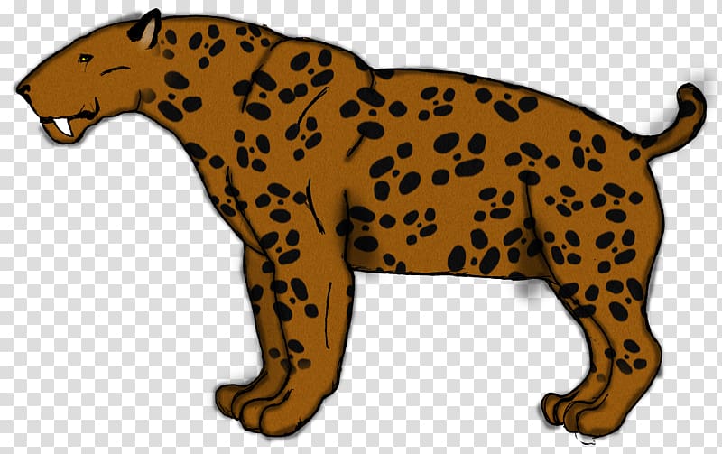 Leopard Cheetah Jaguar Felidae Xenosmilus, Sabertoothed Tiger transparent background PNG clipart