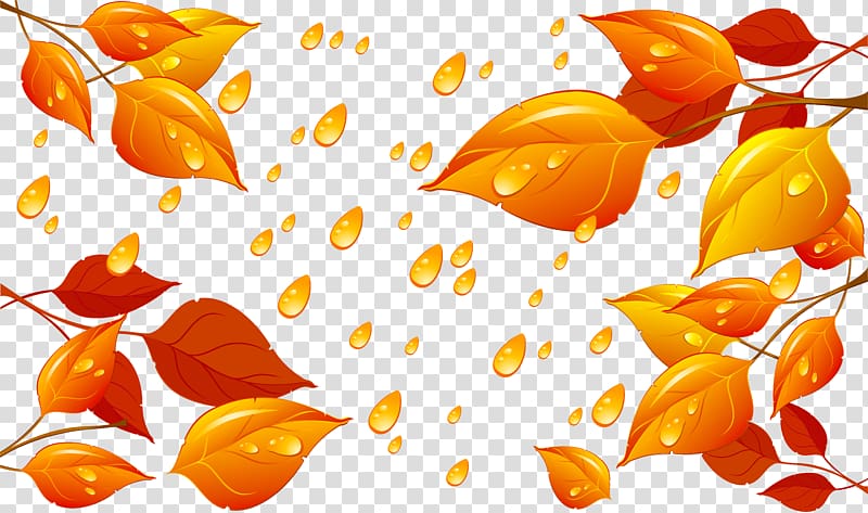 Rain Autumn Drop, autumn transparent background PNG clipart