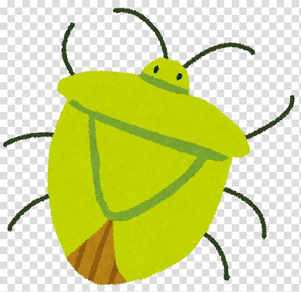 Pentatomoidea Light Illustration True bugs, light transparent background PNG clipart