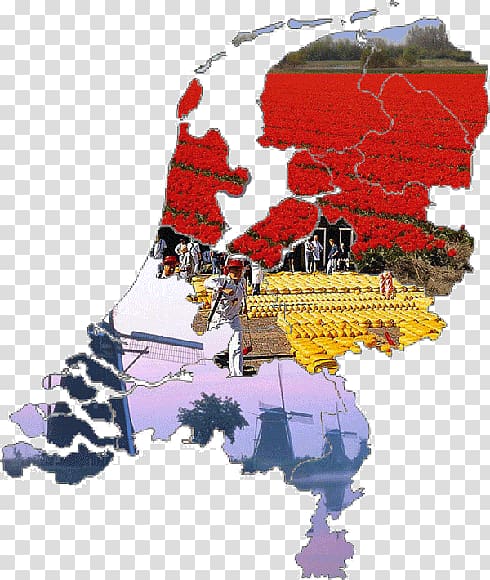 Capital of the Netherlands Map , map transparent background PNG clipart