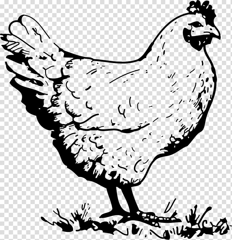 Wyandotte chicken Galliformes Rooster Poultry , chicken Paint transparent background PNG clipart