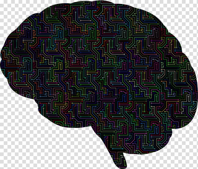 Brain Computer Icons Skull, Brain transparent background PNG clipart