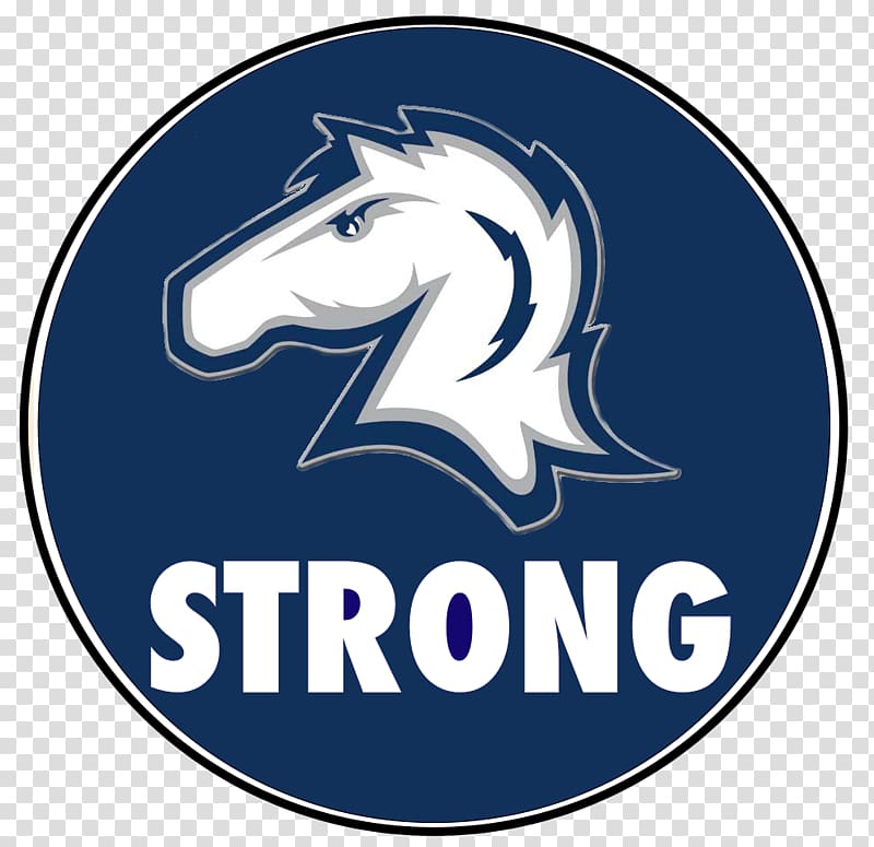 Hillsdale College Minnesota Vikings Hillsdale Chargers football Lake Erie College, strong transparent background PNG clipart