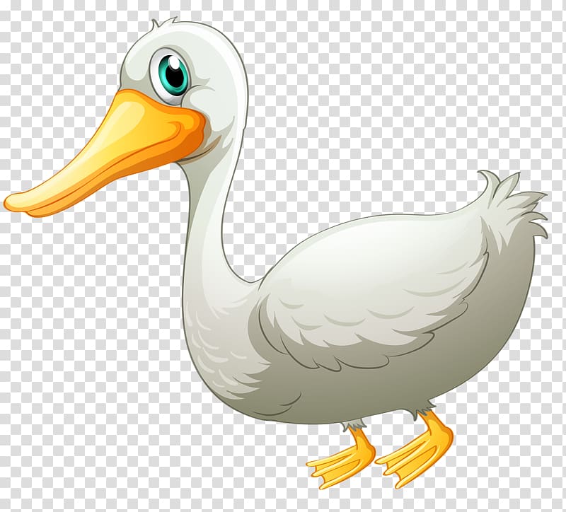 Duck Pato Branco Goose Drawing, White Duck transparent background PNG clipart